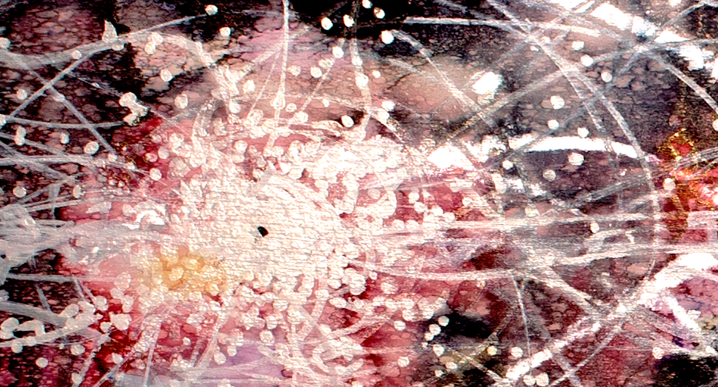 Detail picture of abstract painting "Singularity" by Victor Charade